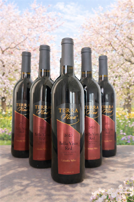 12 Pack 2023 Bella Vista Red