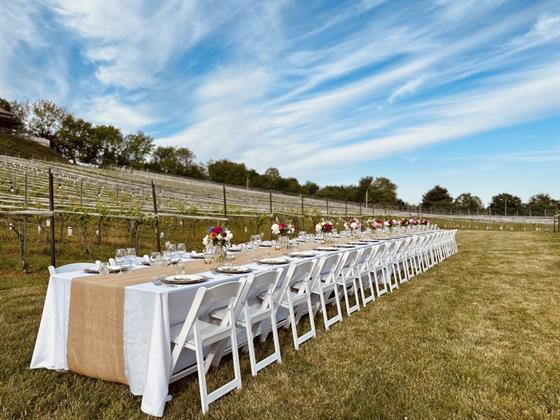 2026 Dinner in the Vineyard
