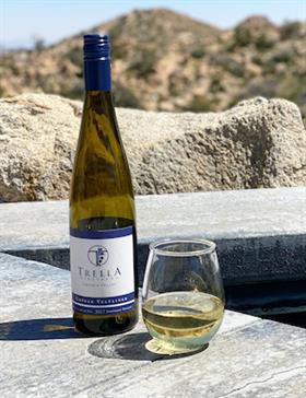 2024 Gruner Veltliner