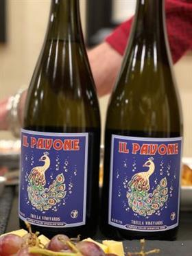 2024 IL PAVONE