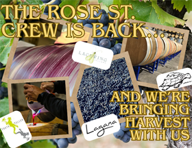 Rose St. Harvest Party!