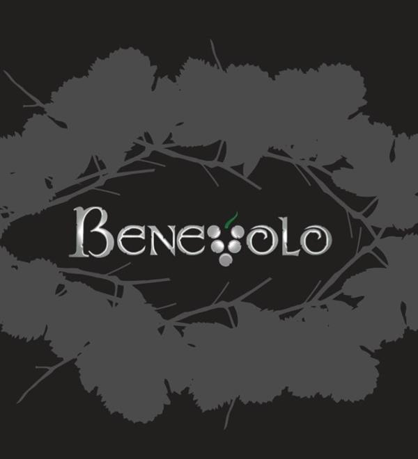 2018 Benevolo Napa Cabernet Sauvignon
