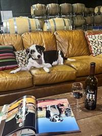 WINE DOGS Book 6