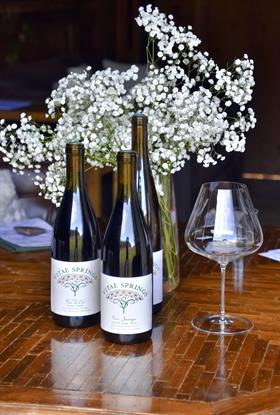 Pinot Noir Heure Dorée Vertical