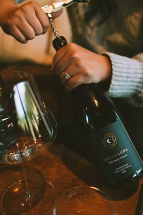 Chef's Pairing Holiday Collection