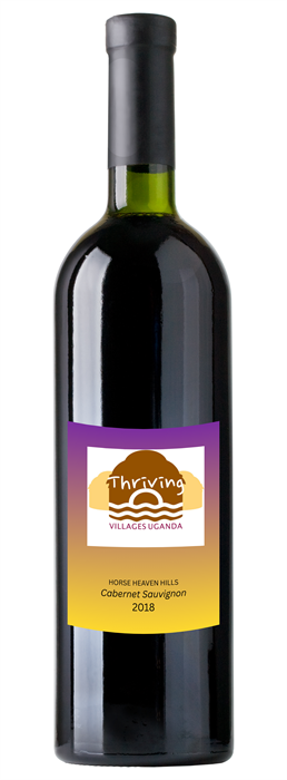 2018 Thriving Villages Uganda