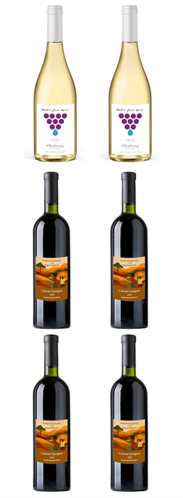 Partnering for Progress 6-Bottle Bundle