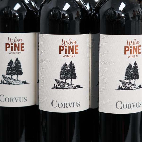 Corvus