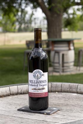 2022 Sangiovese