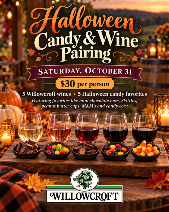 Halloween Candy & Wine Pairing