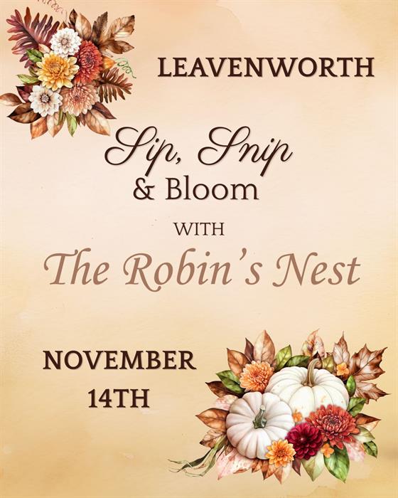 Sip, Snip, & Bloom- Stellas Nov 14