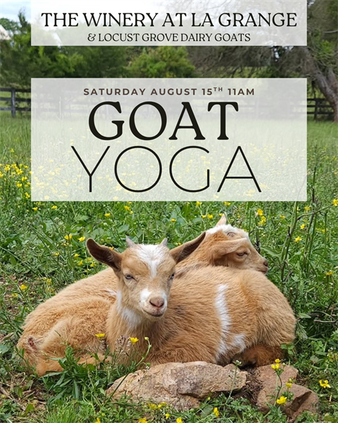 Goat Yoga: August 15th