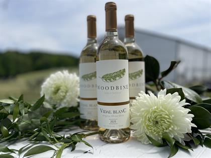Woodbine Vidal Blanc 2025