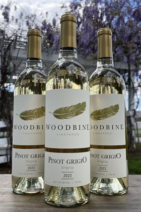 Woodbine Pinot Grigio 2023