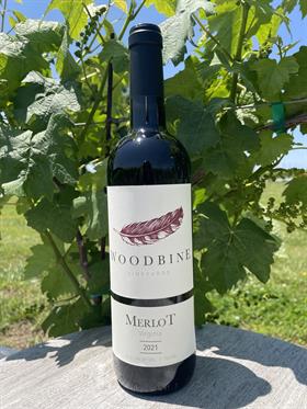 Woodbine Merlot 2021