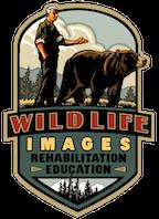Wildlife Images Release Party