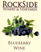 Blueberry - 100% Blueberry