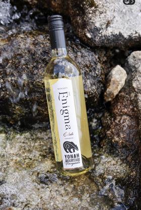 2023 Enigma White Cabernet