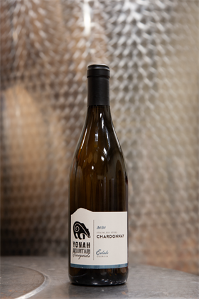 2020 Stainless Steel Chardonnay