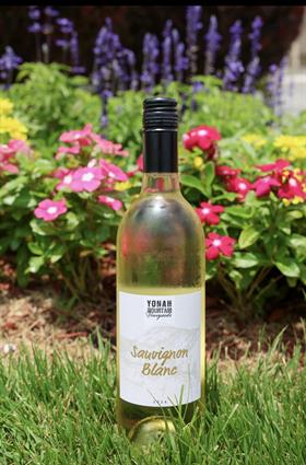 2024 Sauvignon Blanc