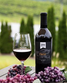 2017 Vineyard Select Merlot