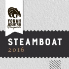 2016 Steamboat Dessert Wine