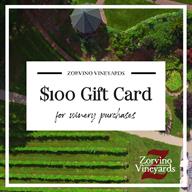 $100 GIFT CARD